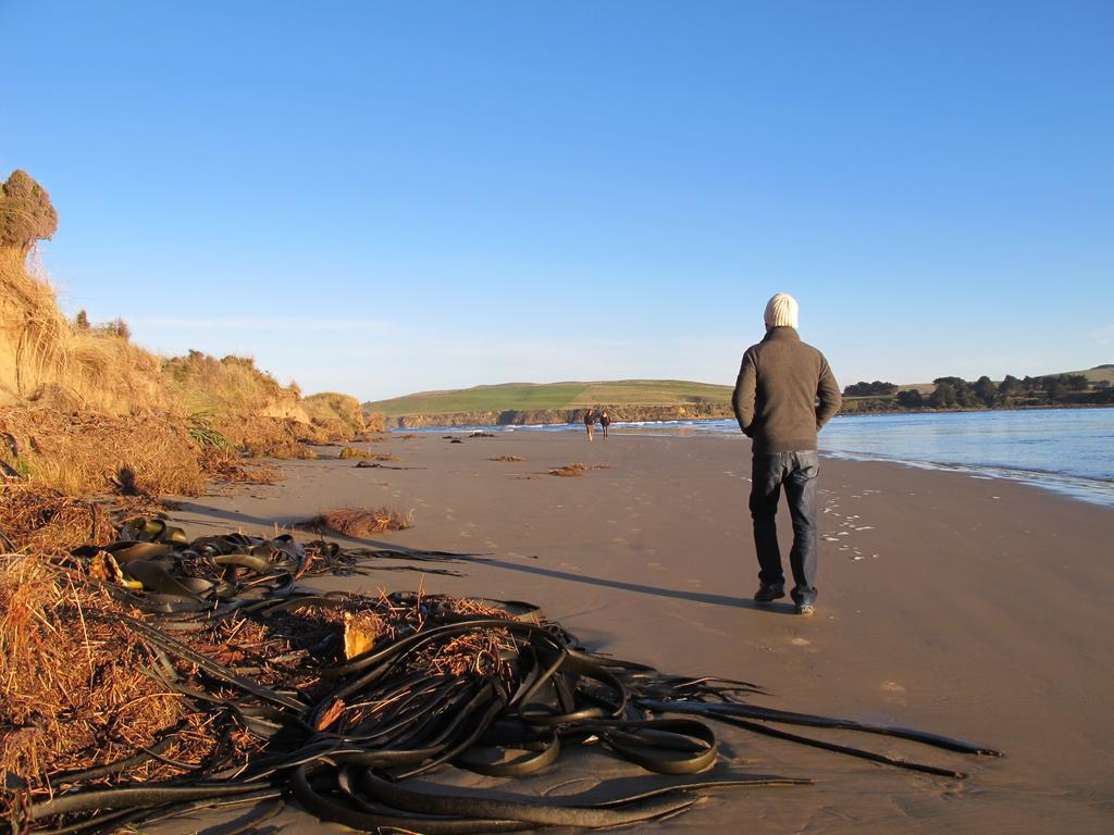 Catlins Newhaven Holiday park