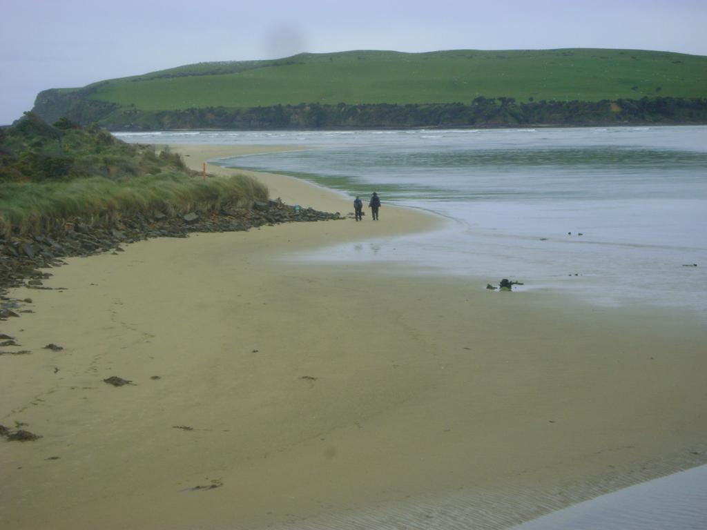 Catlins Newhaven Holiday park Owaka
