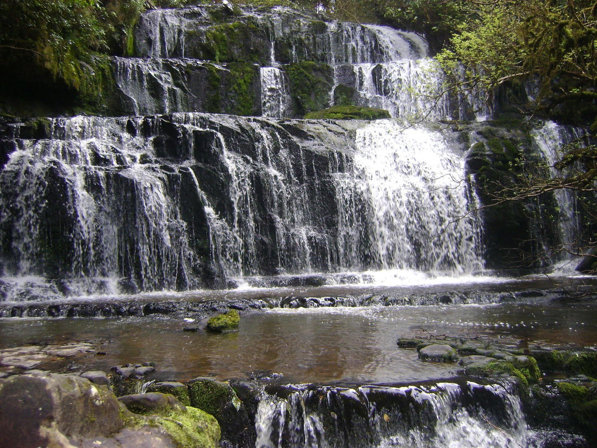 Catlins Newhaven