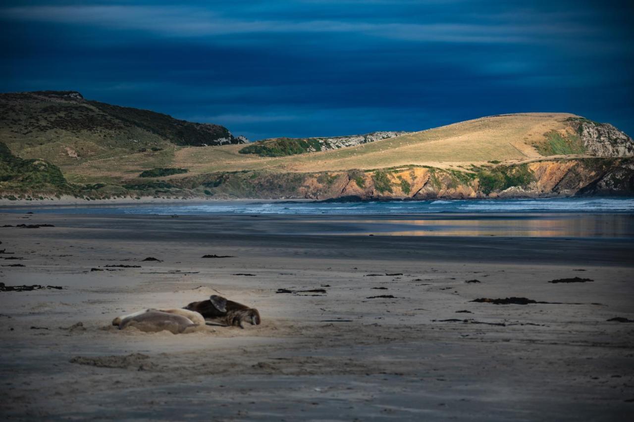 Catlins Newhaven Holiday park Owaka